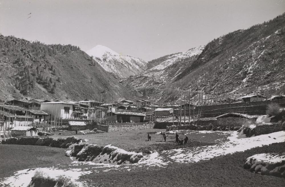 图片[1]-photographic print(black and white); album BM-1986-0313-0.1.214-China Archive